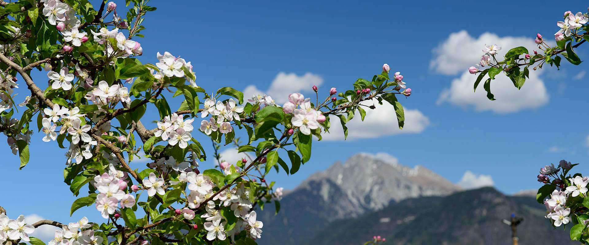 Frühling in Völlan