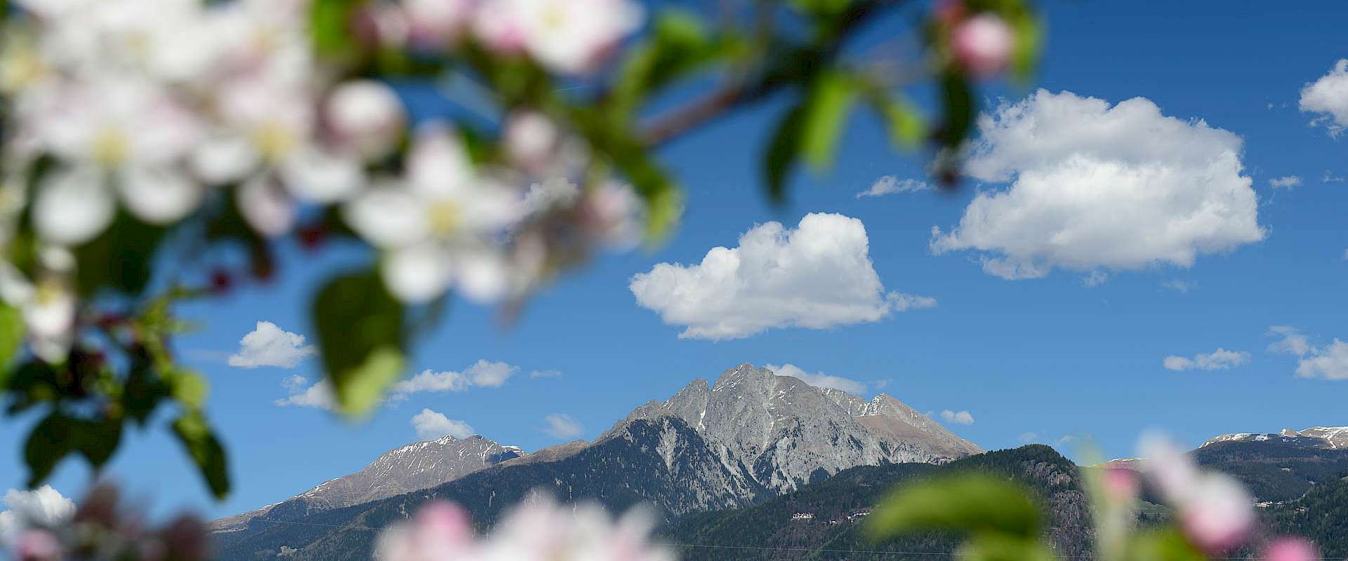 Blick auf Ifinger